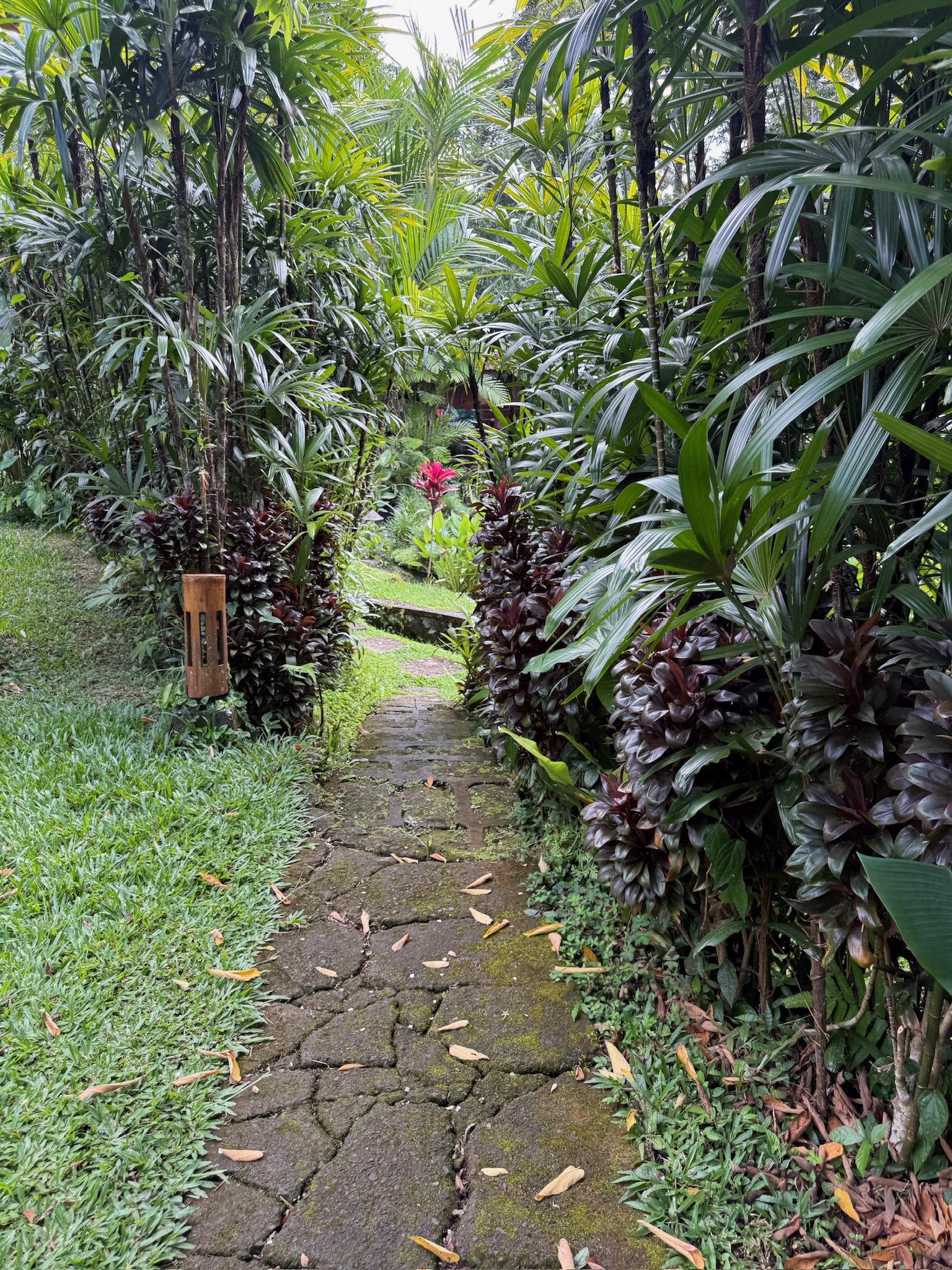 Sendero